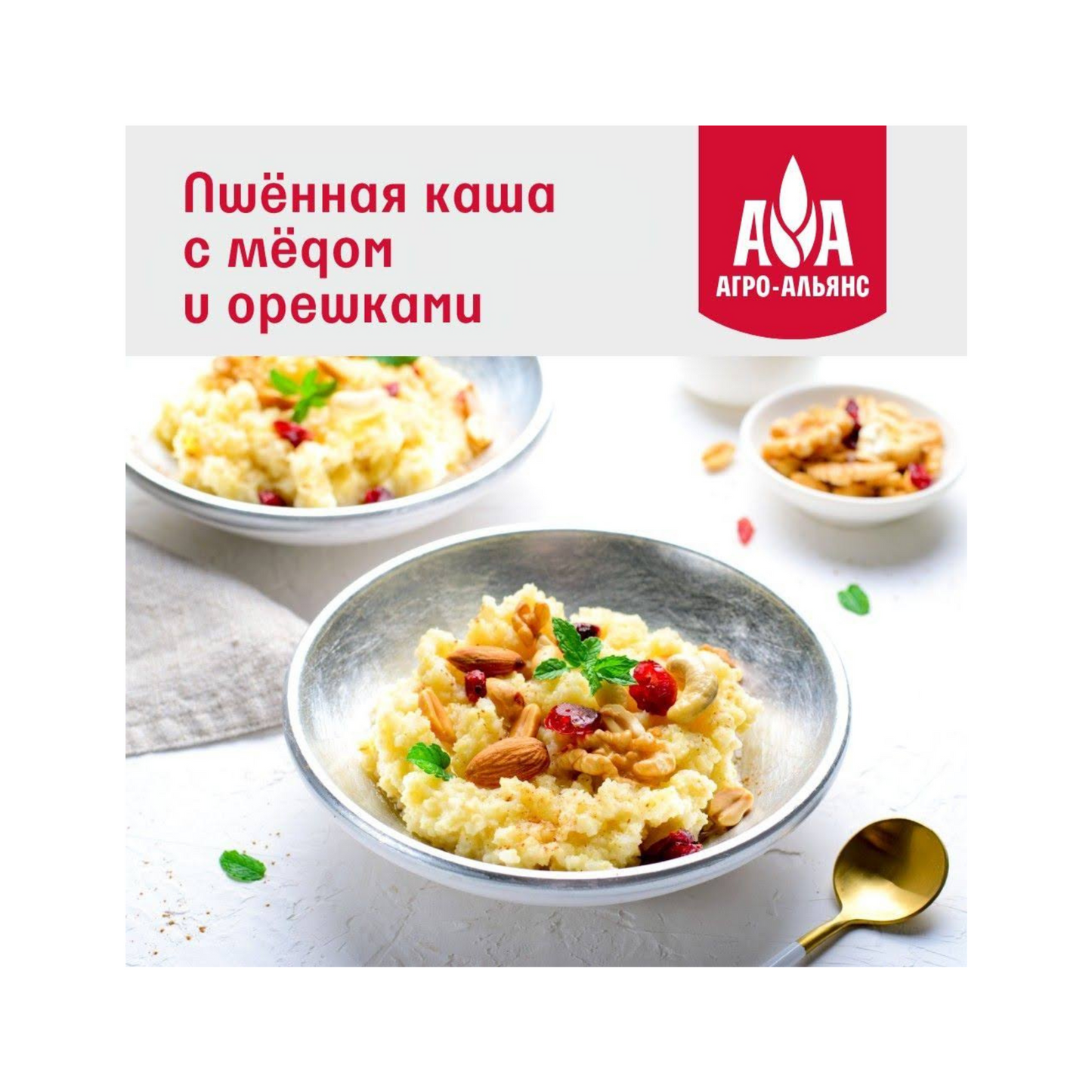 AGRO-ALIANCE Millet Extra, 900g
