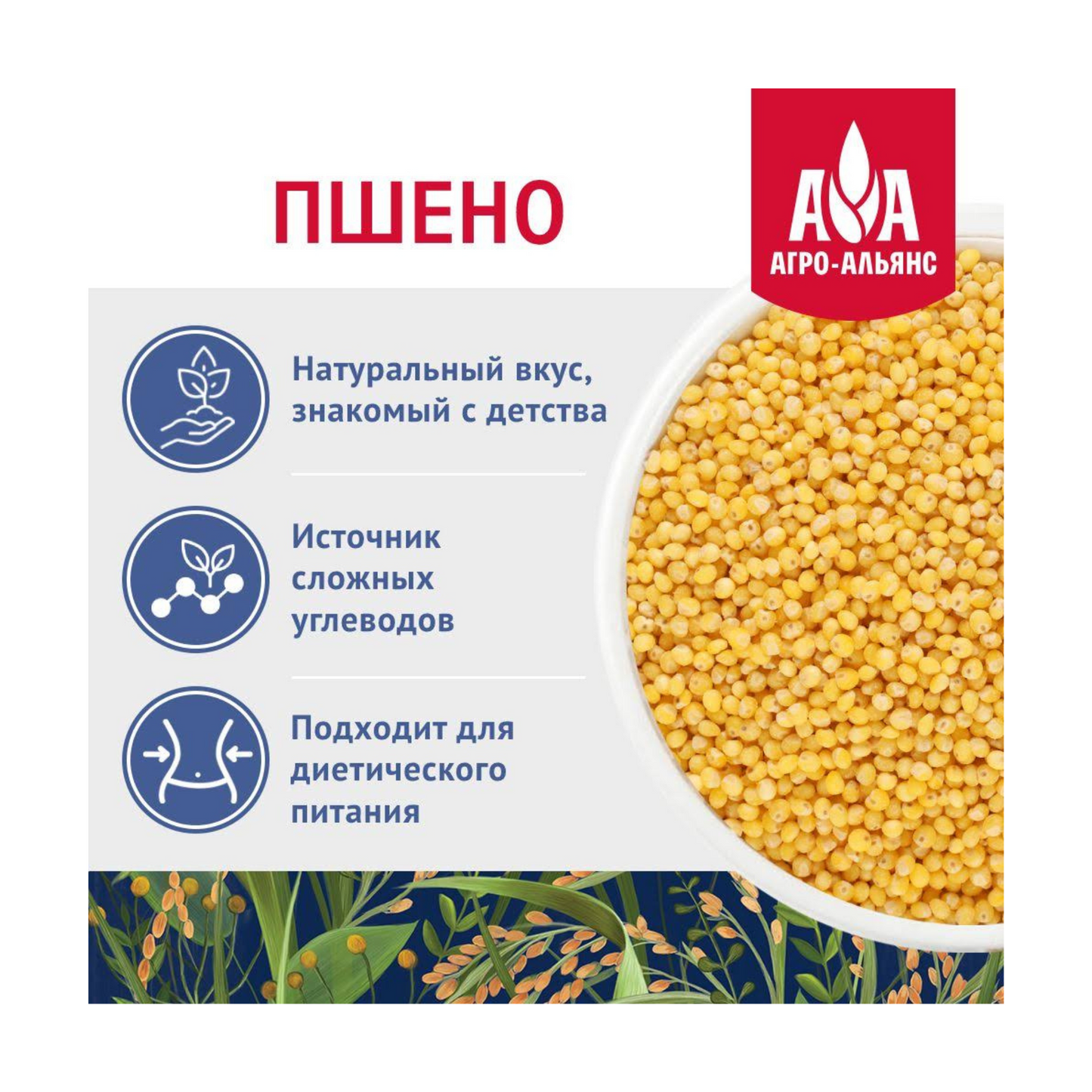 AGRO-ALIANCE Millet Extra, 900g
