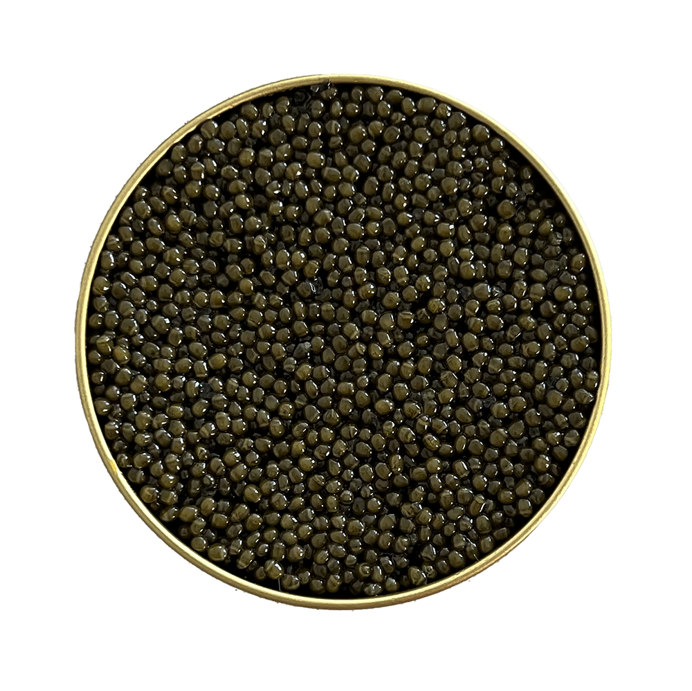 Royal Kaluga Fusion Farm-raised Malossol Black Caviar (Supreme Quality), 113g